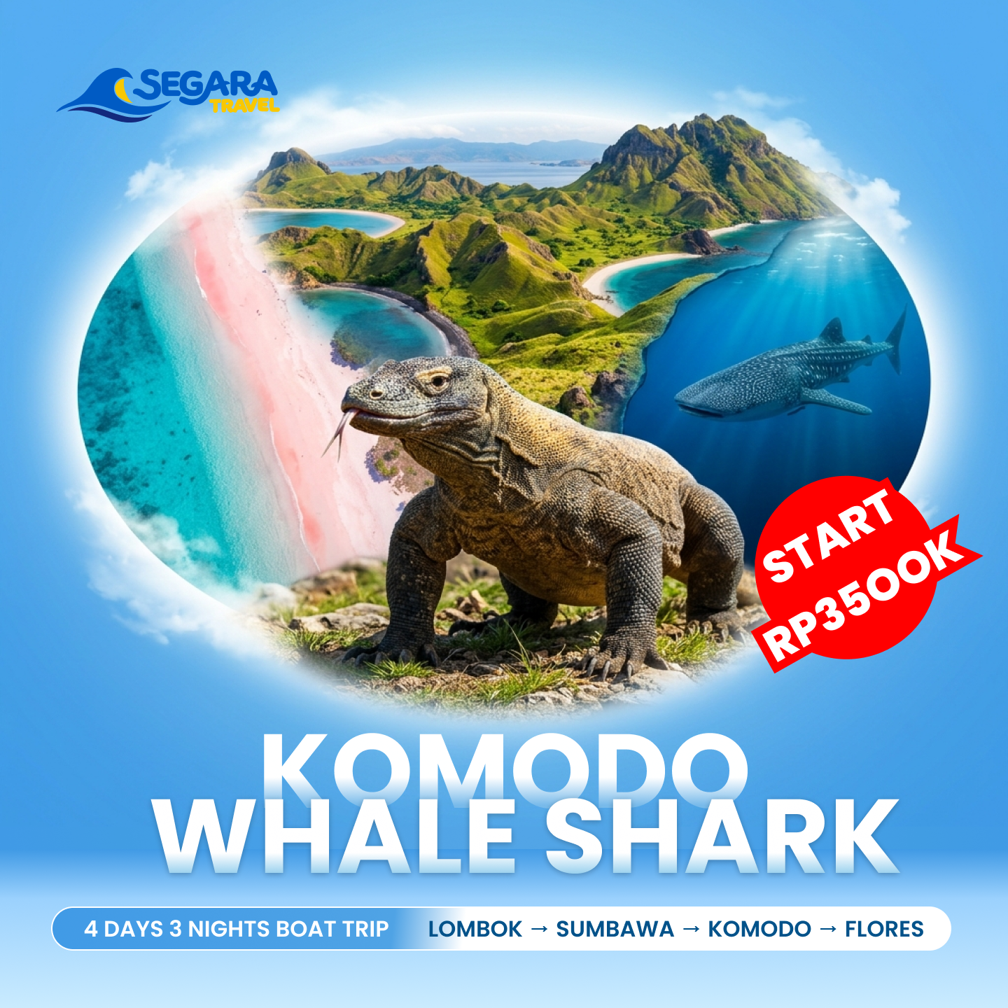 Trip Bareng Rombongan: Paket Grup Komodo untuk Teman dan Komunitas