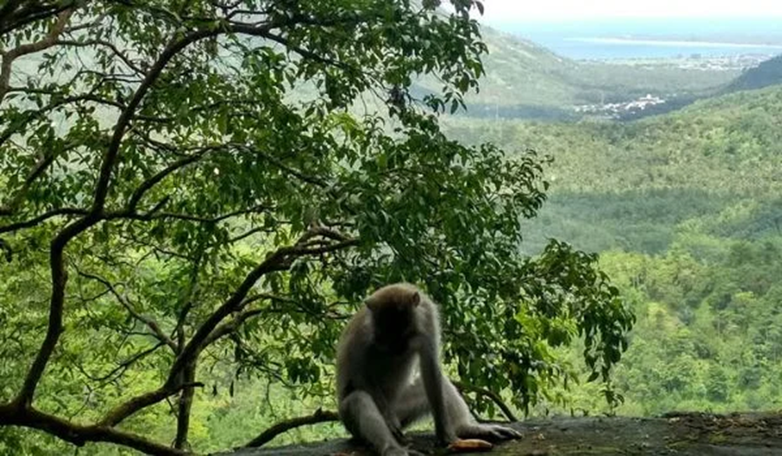 Pusuk Pass Lombok | Segara Travel Lombok