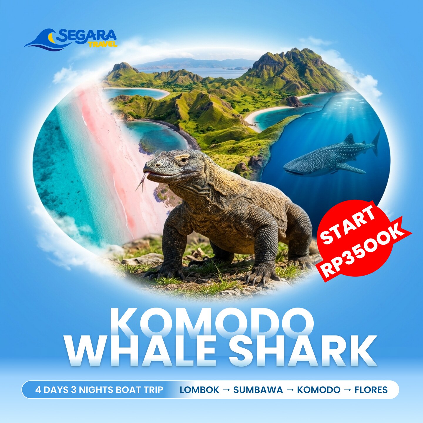 Komodo Whale Shark Tour 4D3N - Travel Wise Lombok to Flores